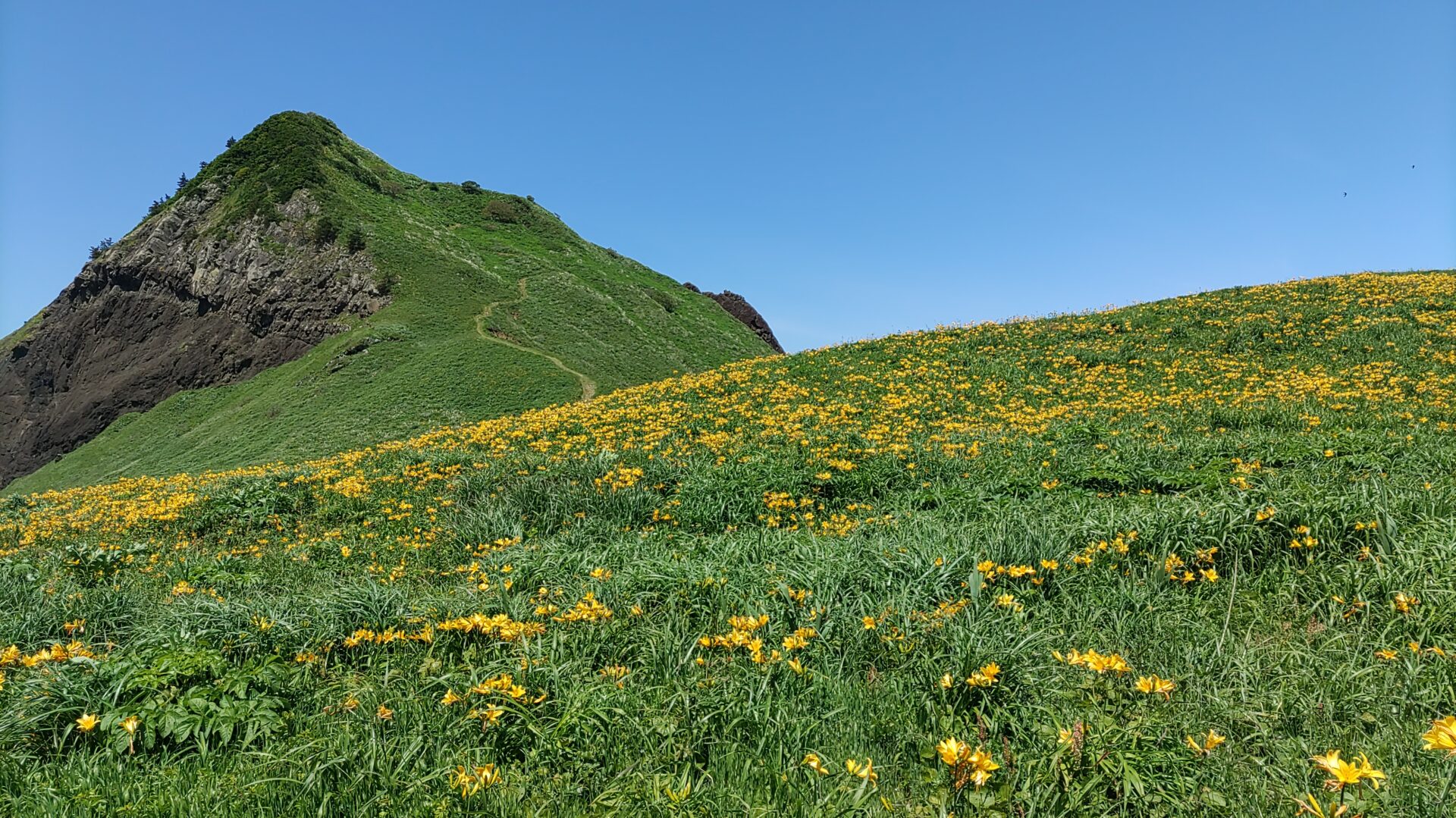 6月の佐渡