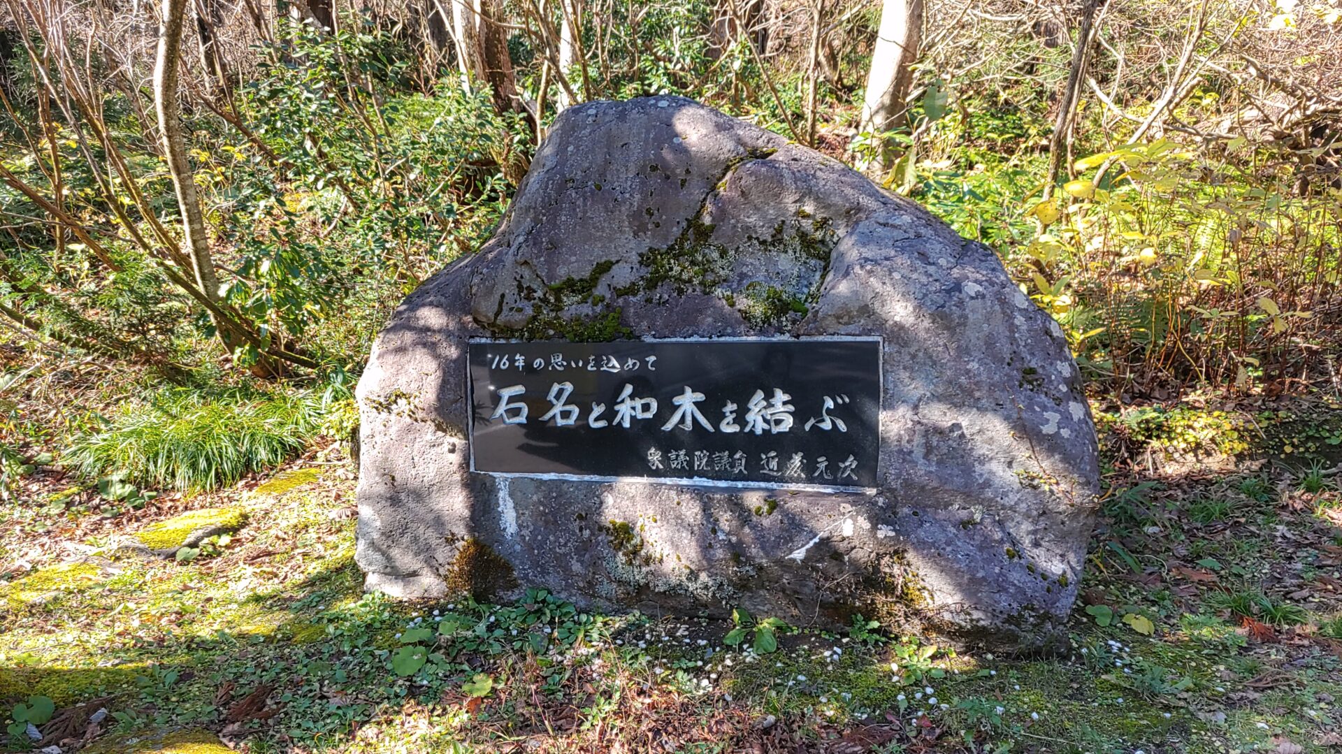 大佐渡石名天然杉