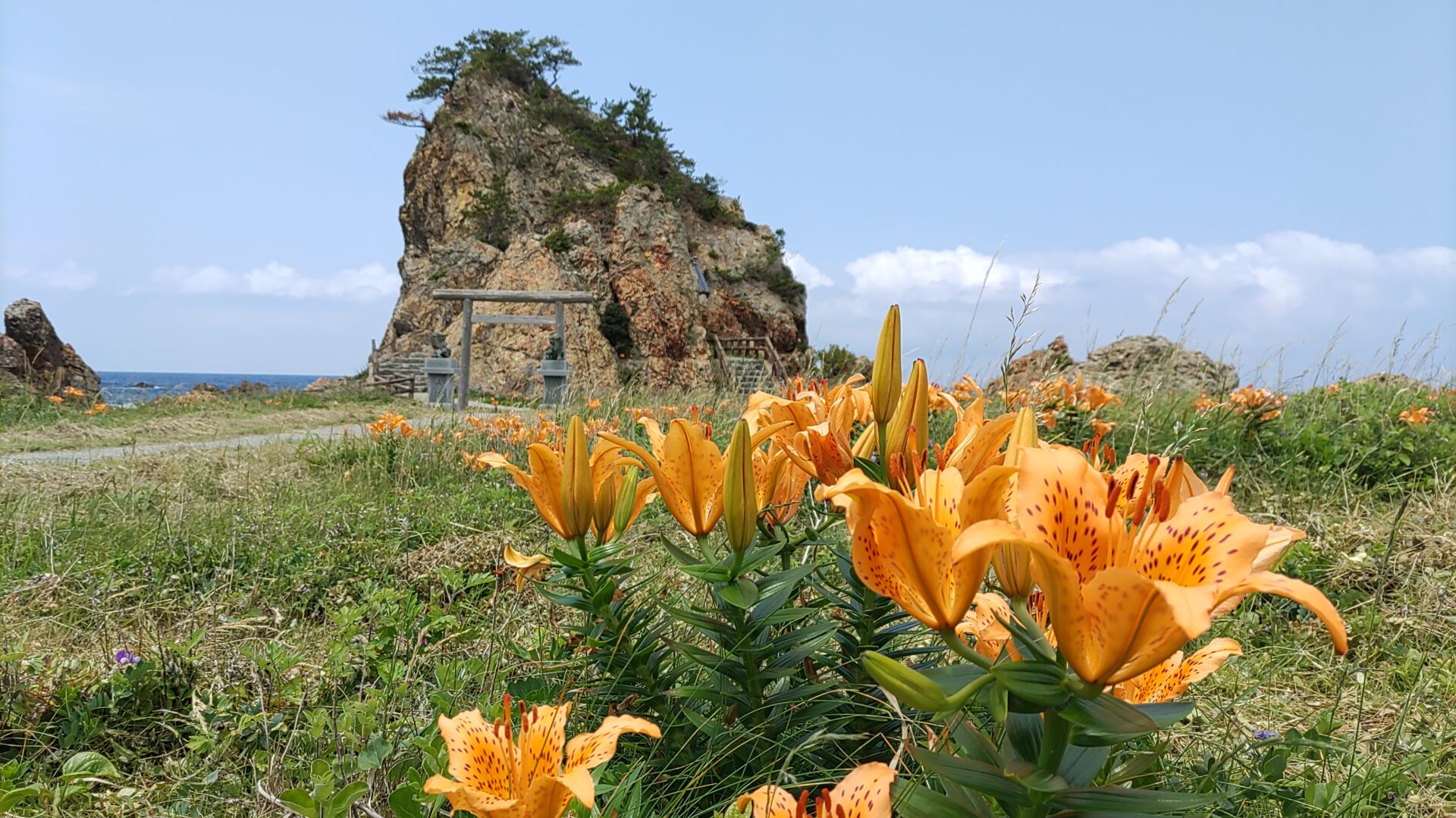 藻浦崎公園