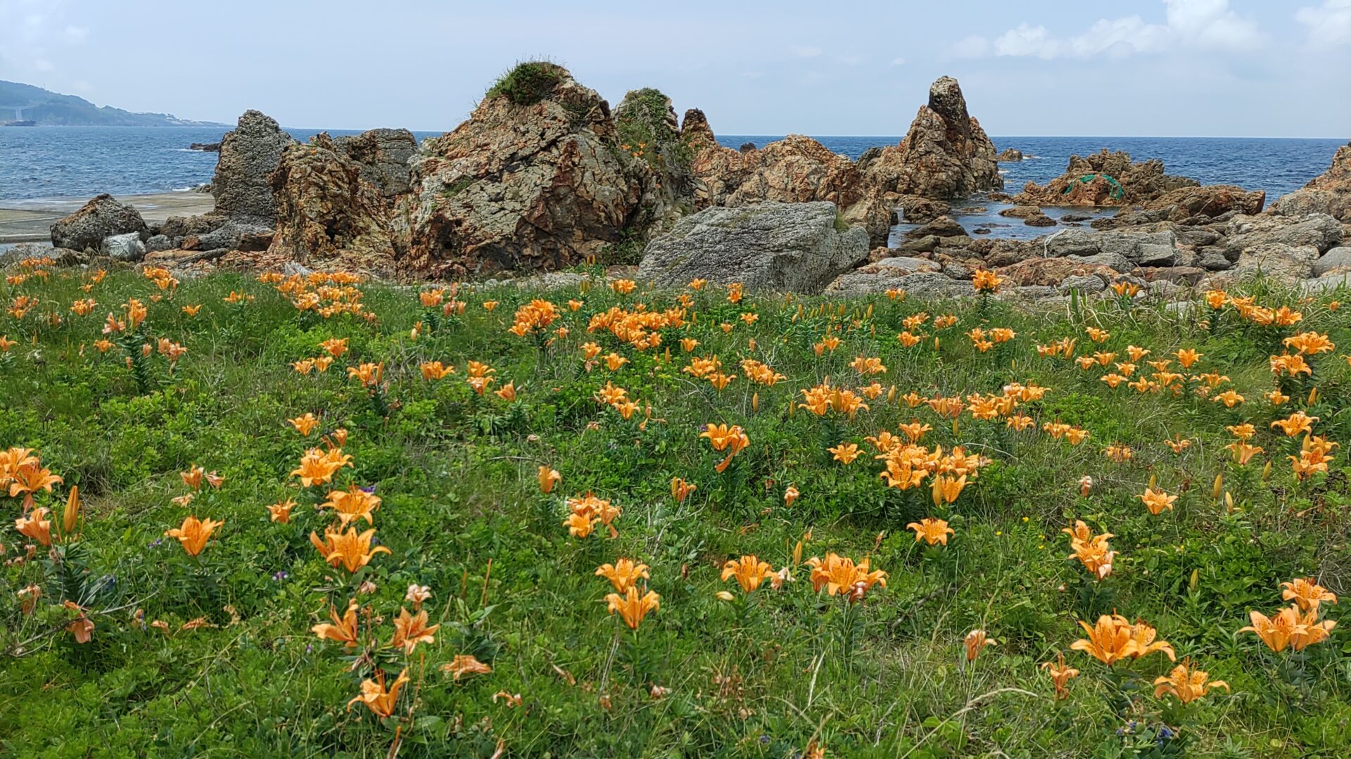 藻浦崎公園