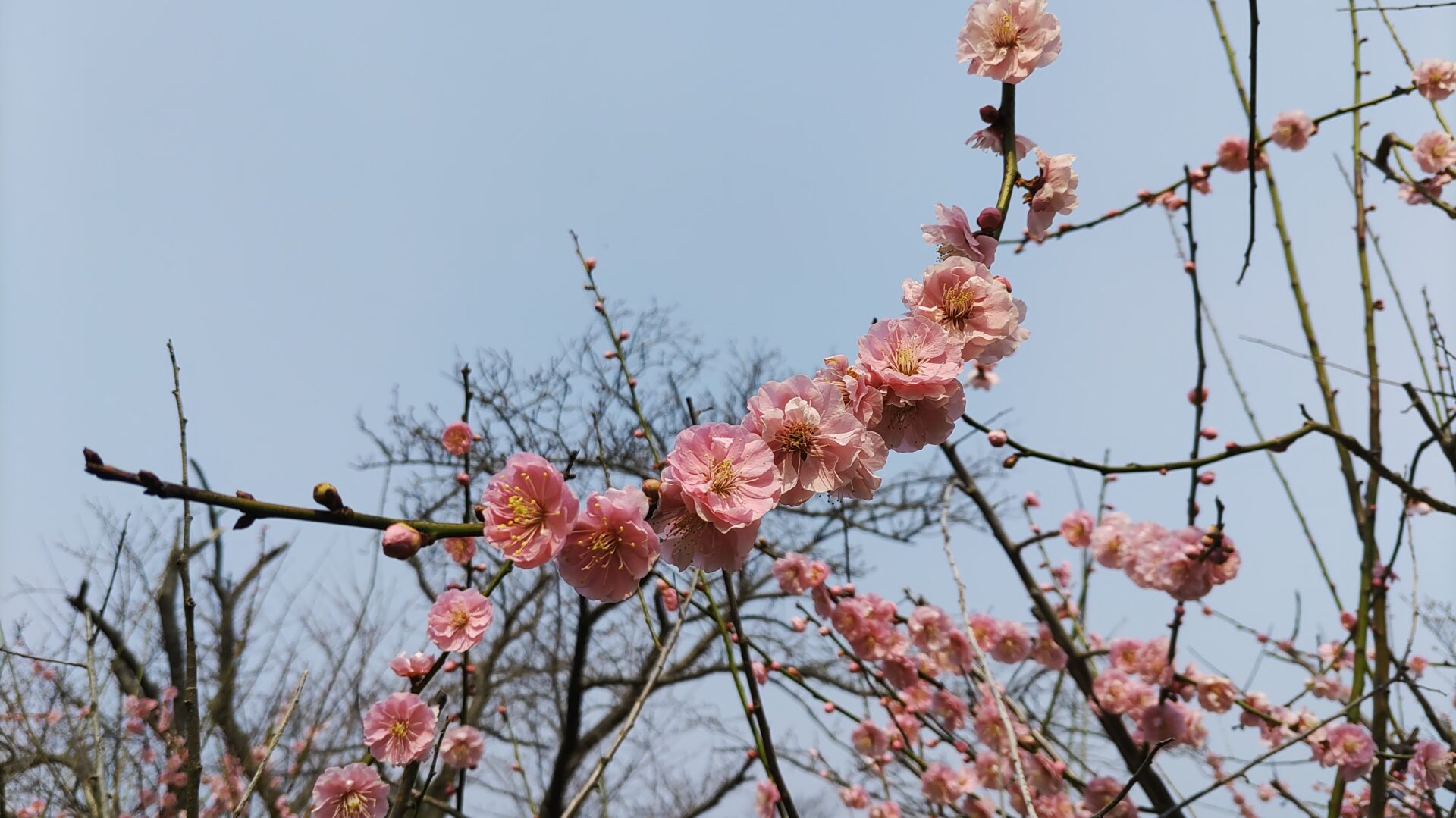 相川城址公園