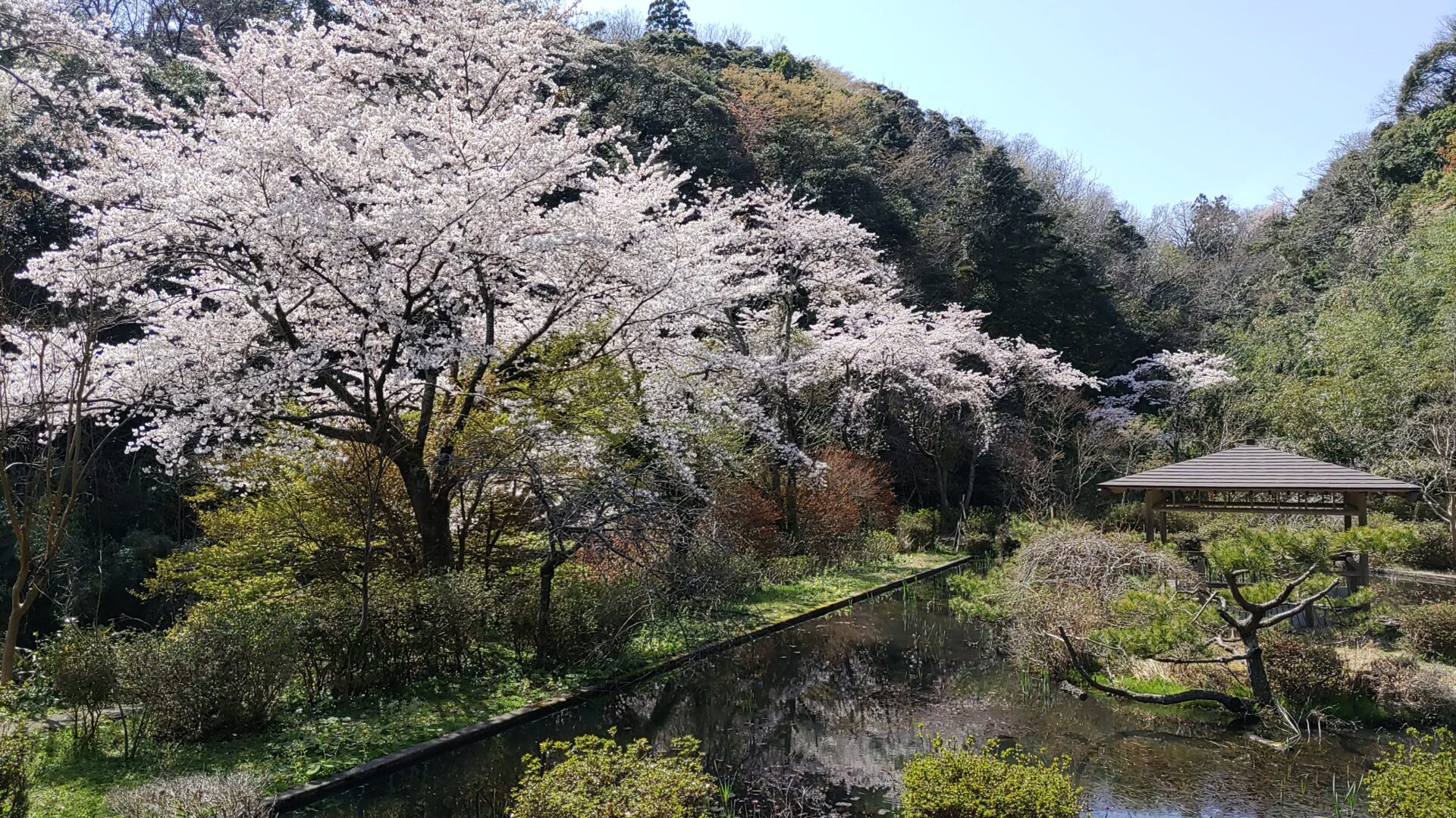 4月の佐渡