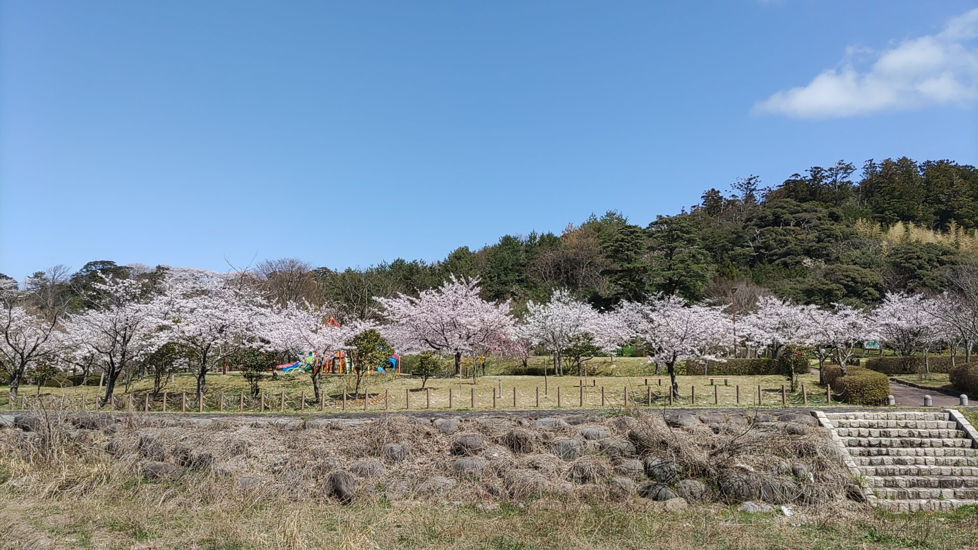 真野公園・真野宮
